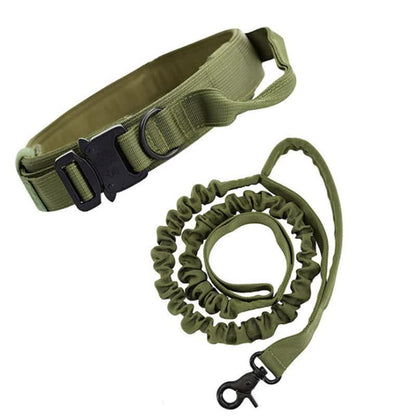 NNEDSZ L Green Hands-Free Dog Leash with Adjustable Waist Belt - Shock Absorbing Bungee Lead