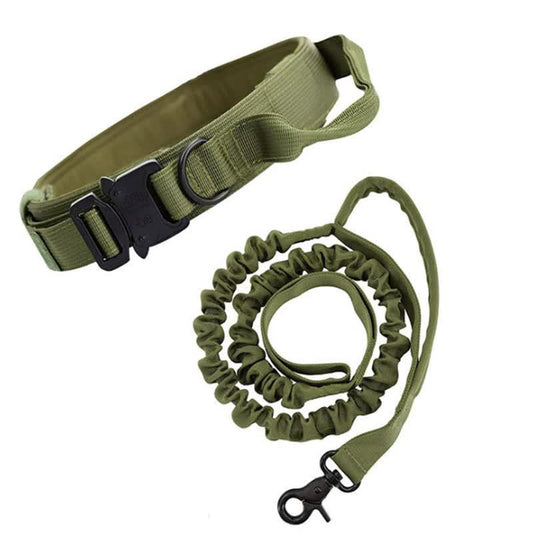 NNEDSZ L Green Hands-Free Dog Leash with Adjustable Waist Belt - Shock Absorbing Bungee Lead