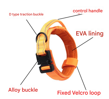 NNEDSZ L Green Hands-Free Dog Leash with Adjustable Waist Belt - Shock Absorbing Bungee Lead