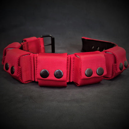 Weighted dog training collar- Red. Large breeds. 5 lbs total. removable weights